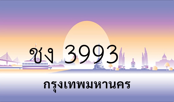 ชง 3993
